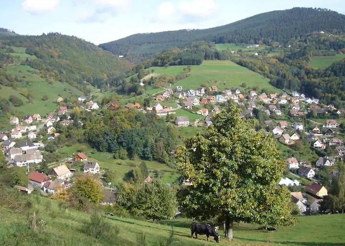 Luksustelt Yourte Des Verts Bois *